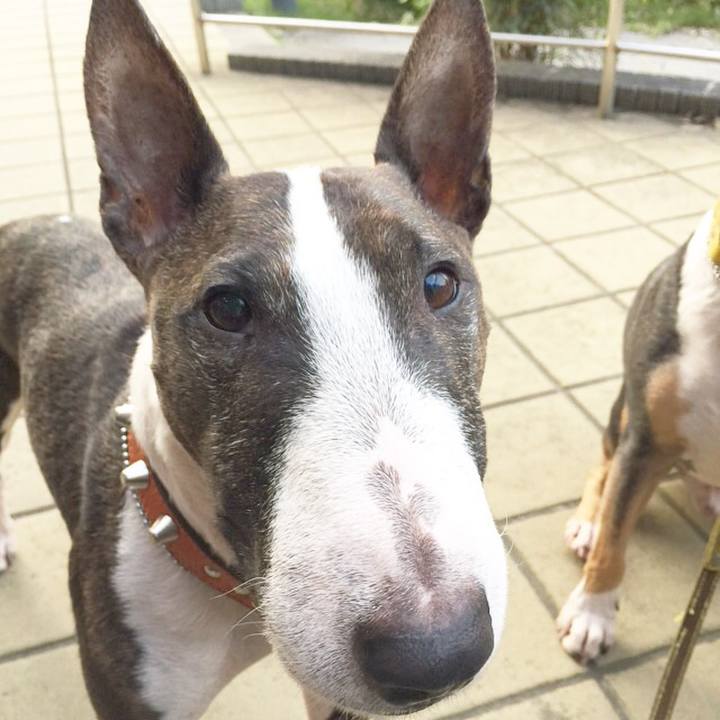 B9d132c7 6f27 429d 955f 5ab9ed053ece