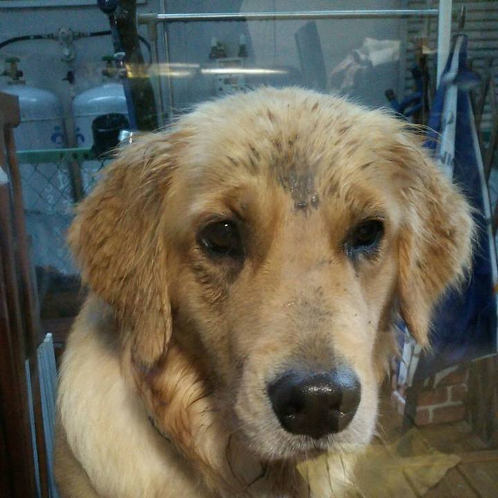 B9d1aa70 7120 49a5 ad68 92a6d1261f8e