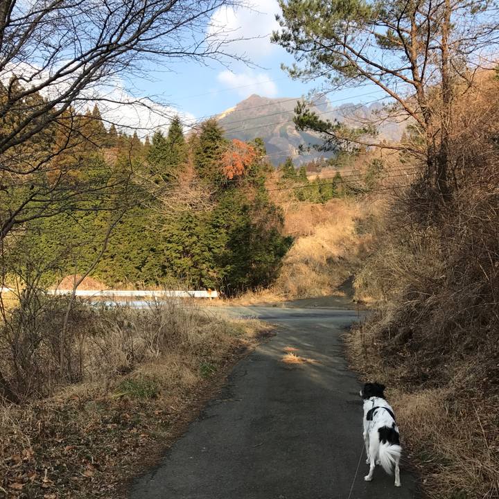 B9d28d4b b288 44ee a064 9009dba7df81