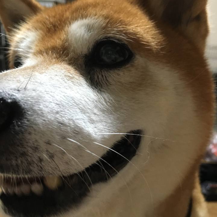 B9d31697 9a00 4ab4 8ced 5f0cd7d0f549