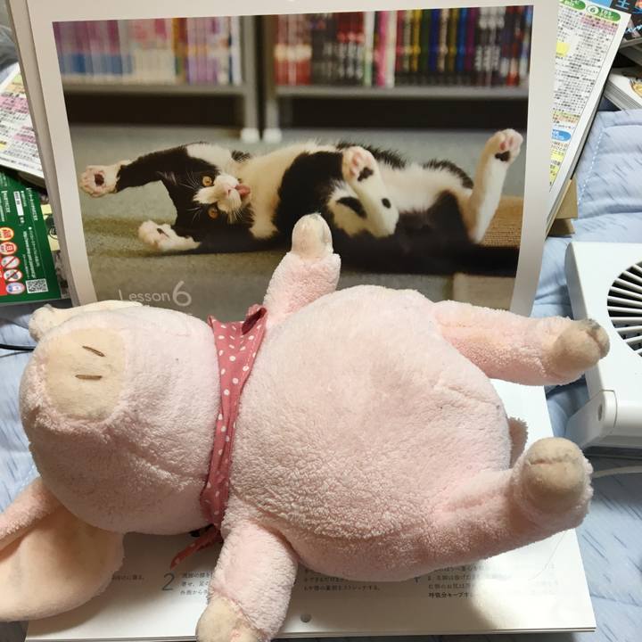 B9d4490e 7846 4457 8520 5be2ab542b08