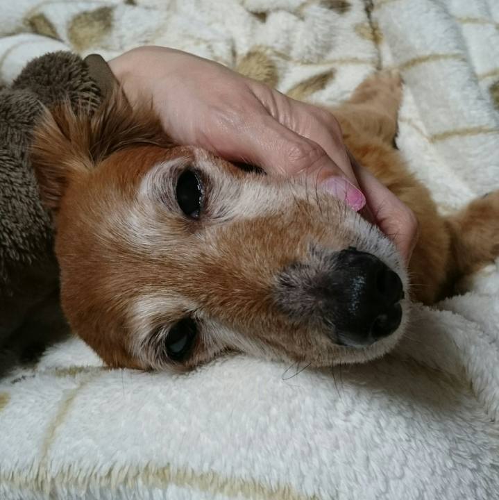 B9d4492b 5e1d 46be 9942 213211d7e624