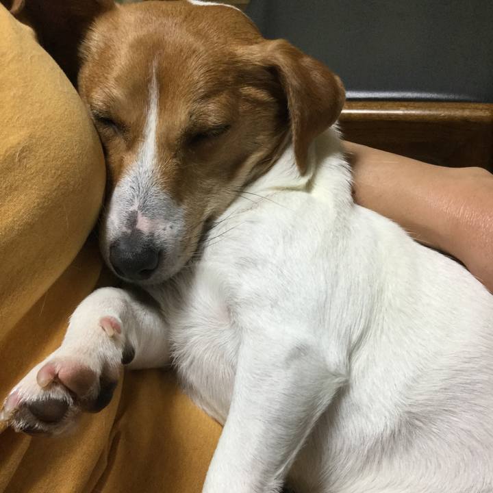 B9d47878 7f57 4da4 a783 b209509f383b