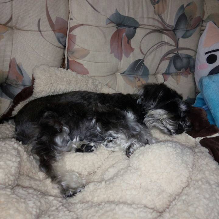 B9d56ac0 04ca 4127 9bcf c6c66b3f73e2