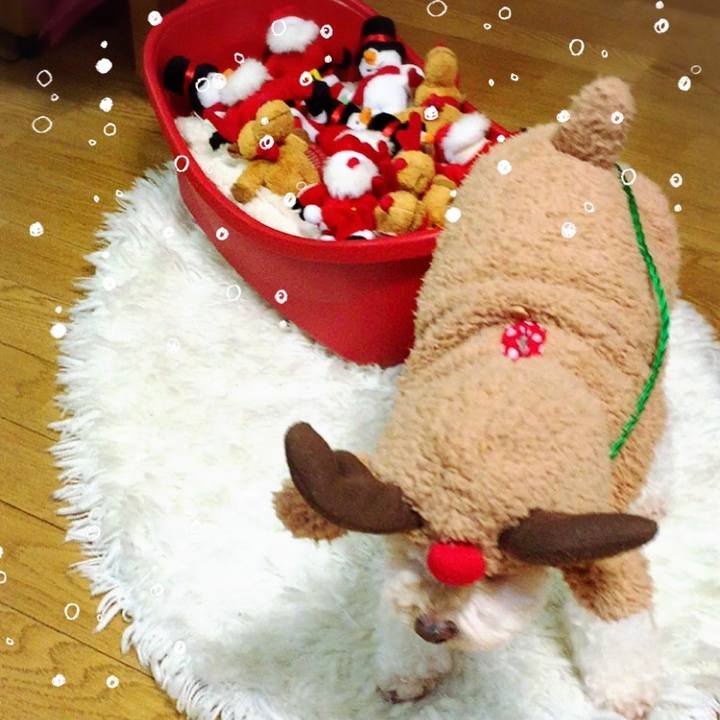 B9d60696 da4f 41e0 94d5 3494e3ea72ef