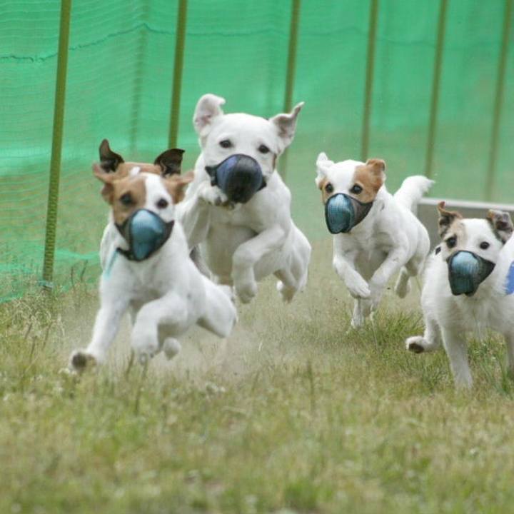 B9d6a0e9 267e 4d95 85fd 548ecbab691f