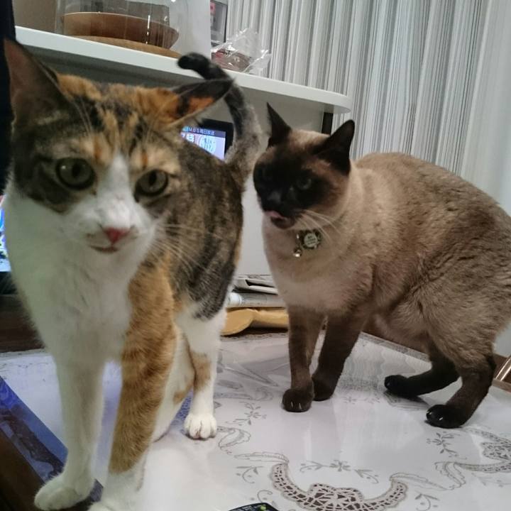 B9d7bc8a c82c 4cd4 90a6 514d02a0061c