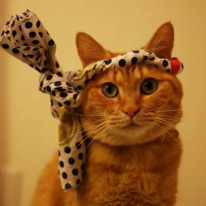 B9d7ddf4 d0f8 4ee1 89bf 7f0949be13fa