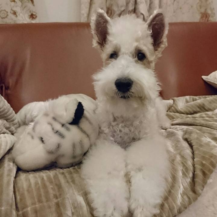 B9d85586 3f31 4b07 bf00 cc306b5ae28e