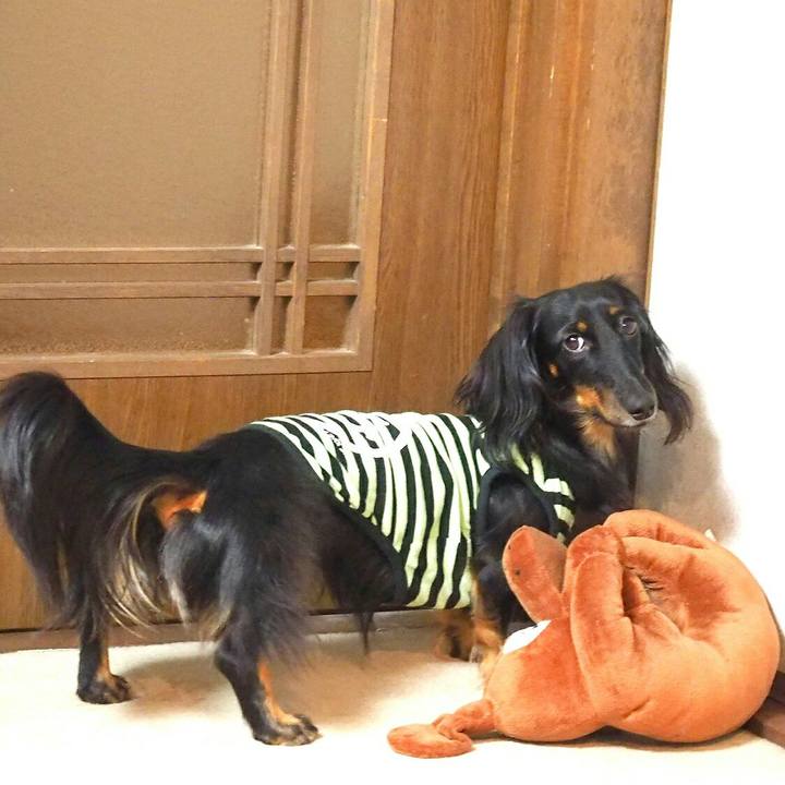 B9d8a56f 6a9f 4fce 9a97 648c82abcddc