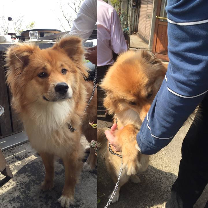 B9d8b008 84a5 4d8a 84c9 d975b50afeef