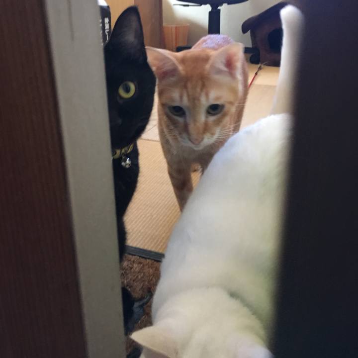 B9d91c66 bfb0 4366 8f21 eb1b52fda0d4