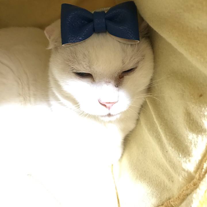 B9d97968 36e5 4169 a82e 2cbd169f6ac6