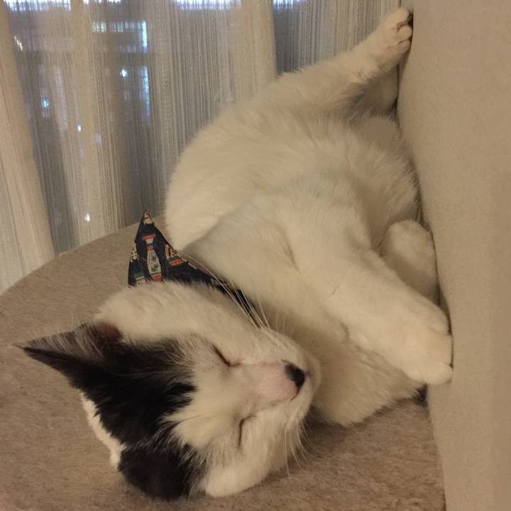 B9d9e2f6 fac5 4ea4 9d76 6de6908308f0