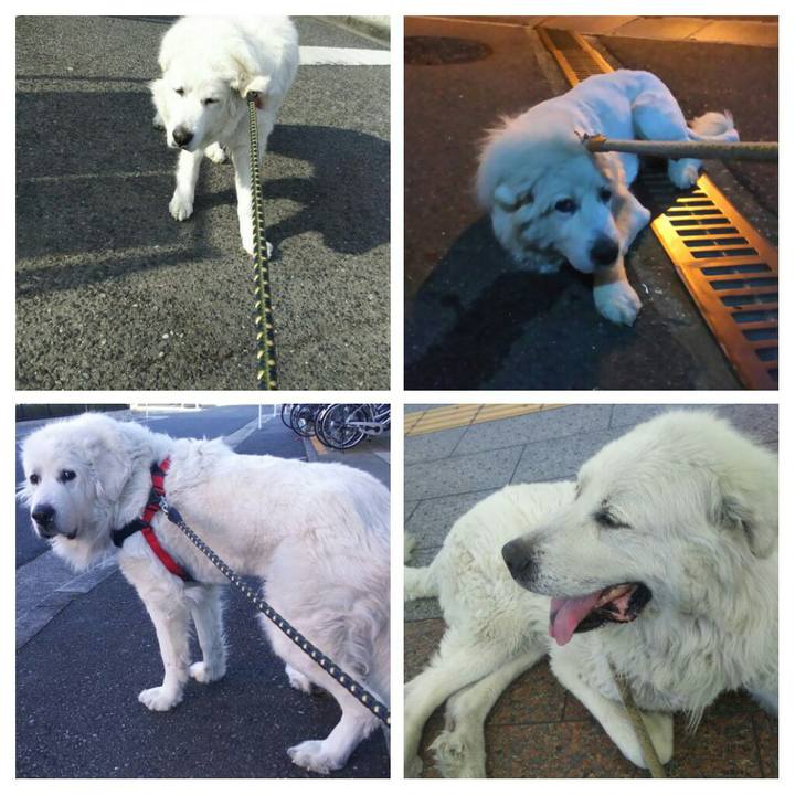 B9da1548 1227 4cf8 a139 bbf0deea2635