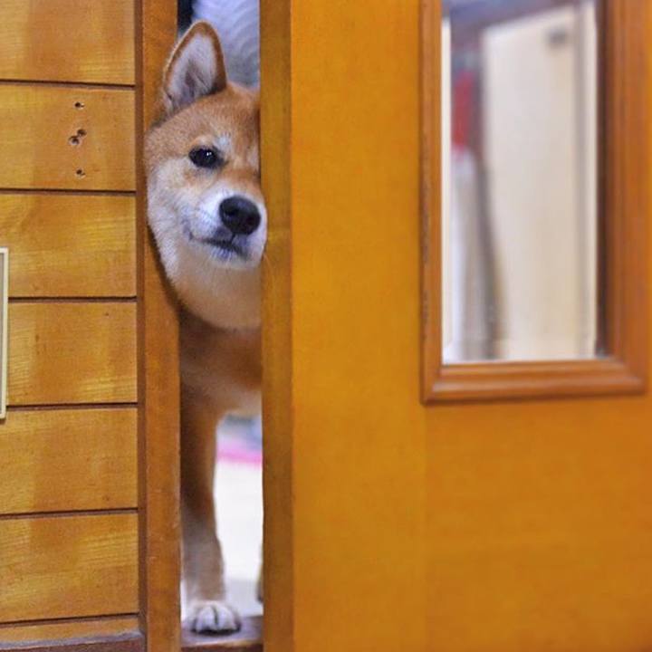 B9da7409 c7a7 4533 a39a 2fed991b9488