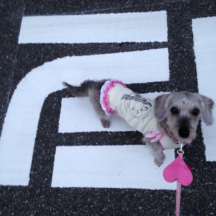 B9daa3b9 9858 4d39 bd2a 4af6330f2dc4