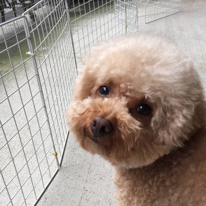 B9db41af 6df8 4428 a6a0 acf1d8a6c0d8