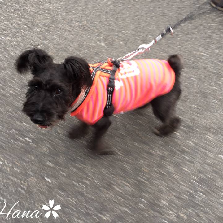 B9dbf582 d2be 4e53 88ba be9683639b8b