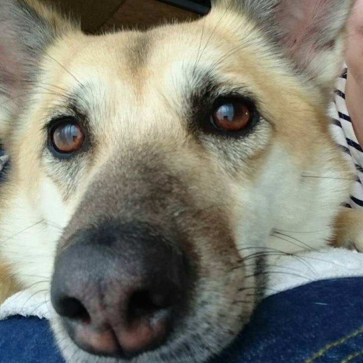 B9dc63b3 1d00 474a b14d da95721199d2