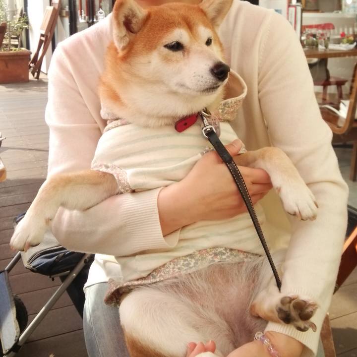 B9dcc0d1 fb22 4f7e bb02 8e5fde3f71ca