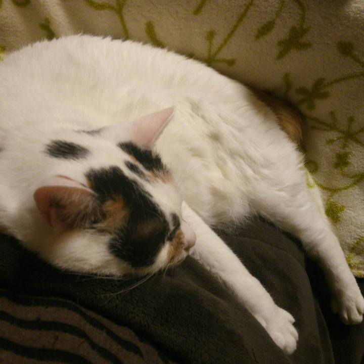 B9dd173a 6e36 49ca ba51 9f89d33a2939