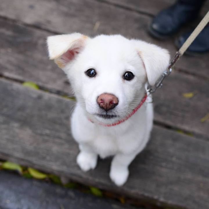 B9de12a0 cfc2 4d9b 97b9 8a49ad7ad856