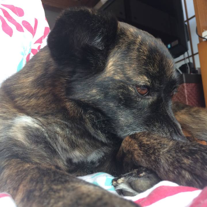 B9de1817 63e5 4856 a491 4b7a1bf6bc0c