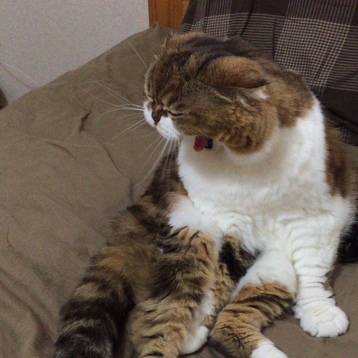 B9de7171 f67c 4308 8a04 17ebe6c51209