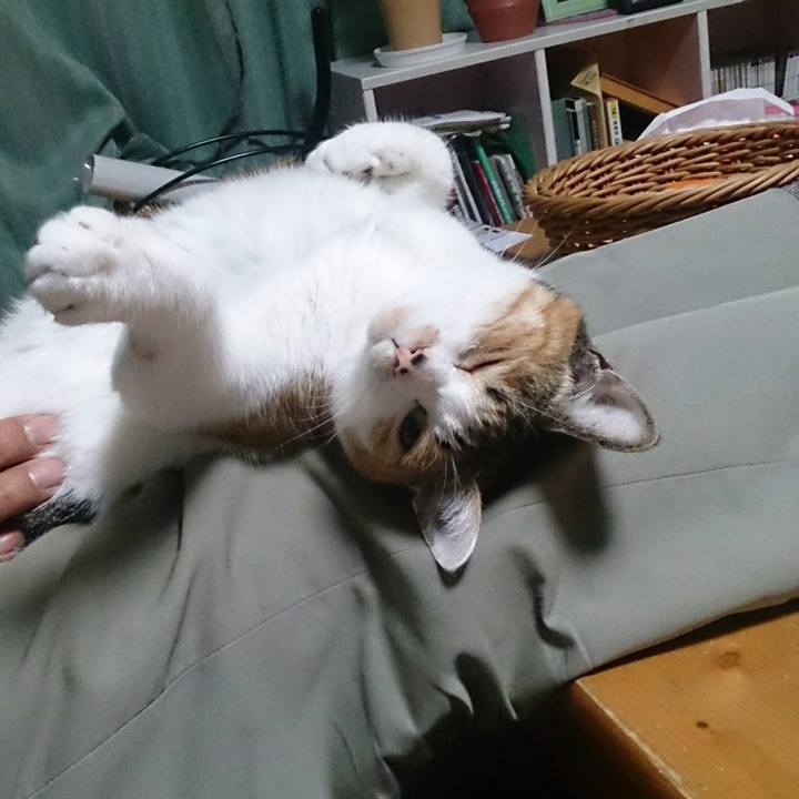 B9deb978 c7c0 4666 9642 c4fde12e8435