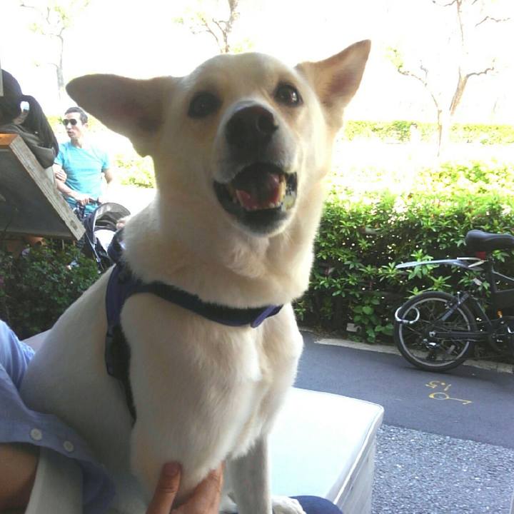 B9dedf92 5af0 4512 9e91 cc138e3a6f5e