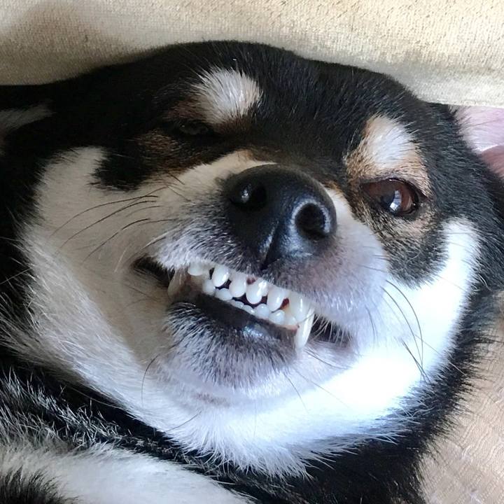 B9df0964 0666 4bfa be9d f60026b3dbe1