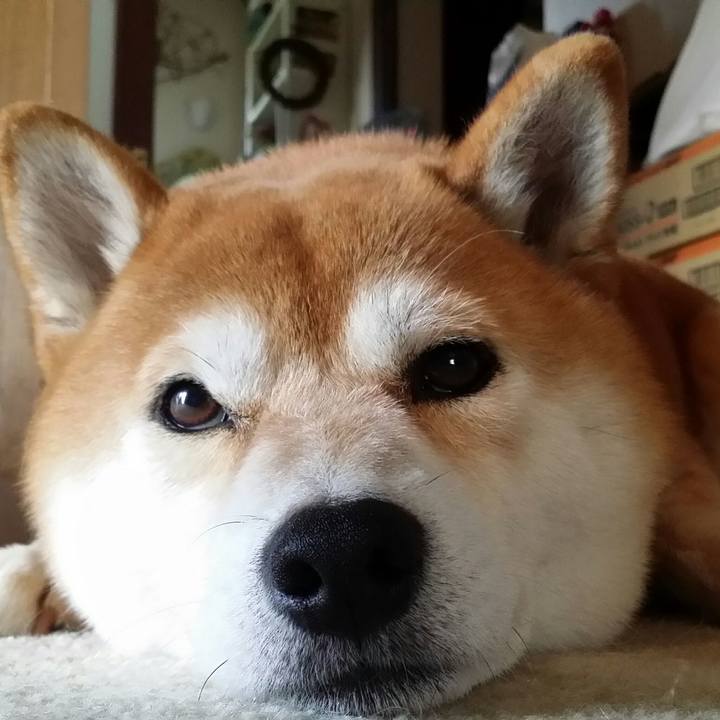 B9df3f82 27ef 4cf6 9638 863f7fa7563f