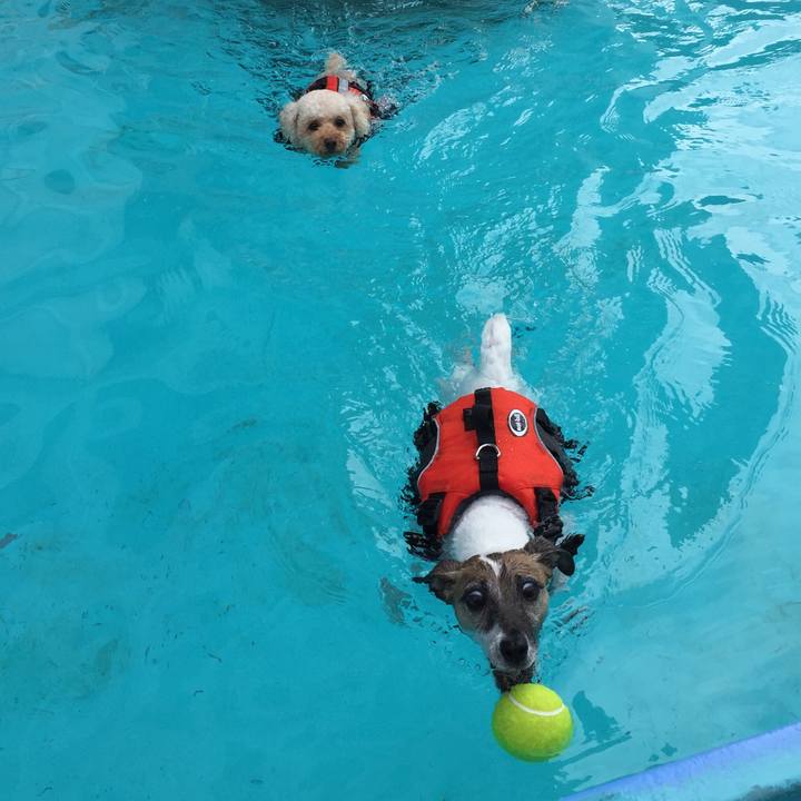 B9df5455 74d9 4efd 9ff5 580065570a56