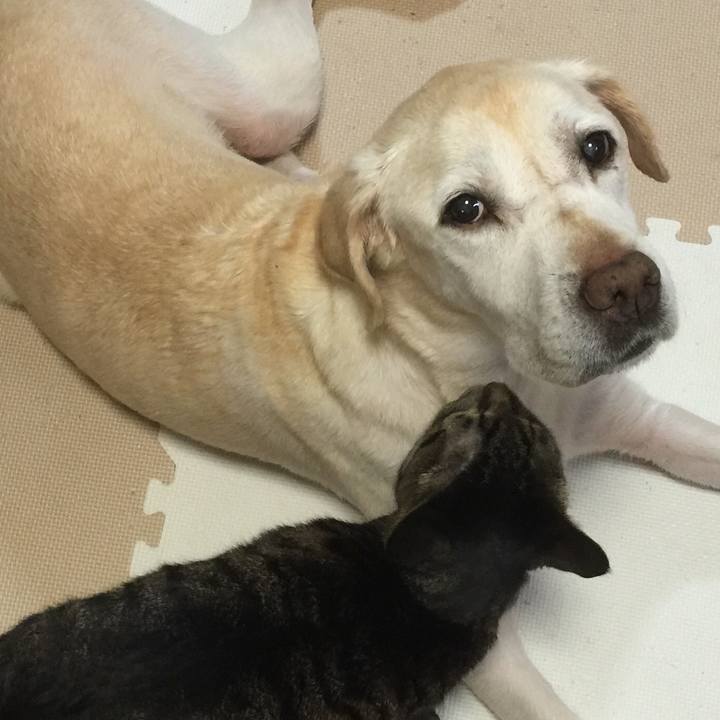 B9df807d d603 43f5 97d1 bcbed862e439