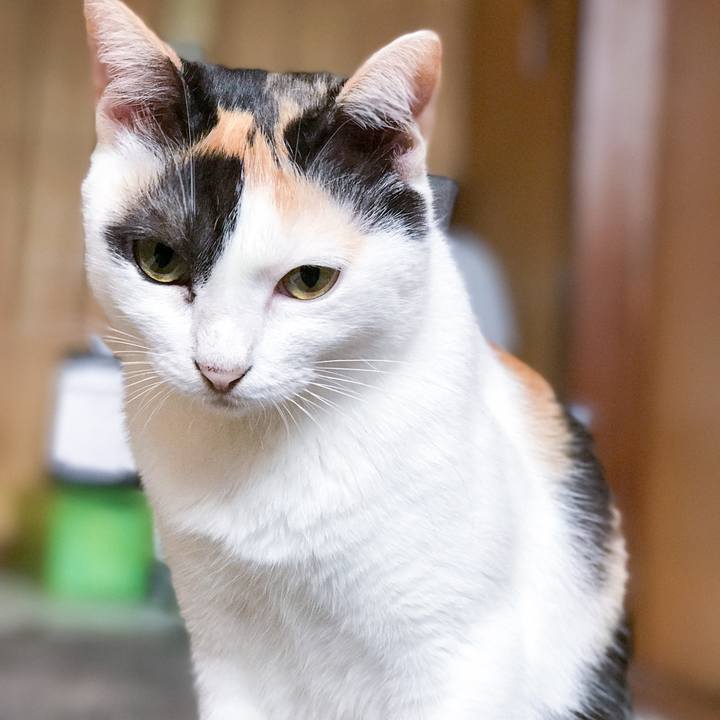 B9e0134d 8e2f 436d 90b3 b79803c59292