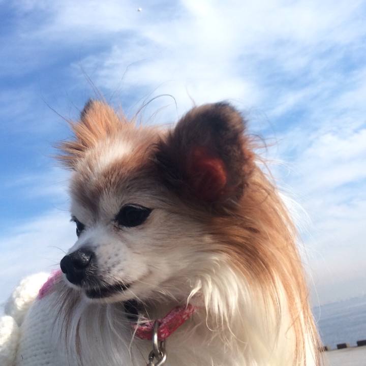 B9e0dd1f 7aff 479a 8b37 1d7635fc19ad