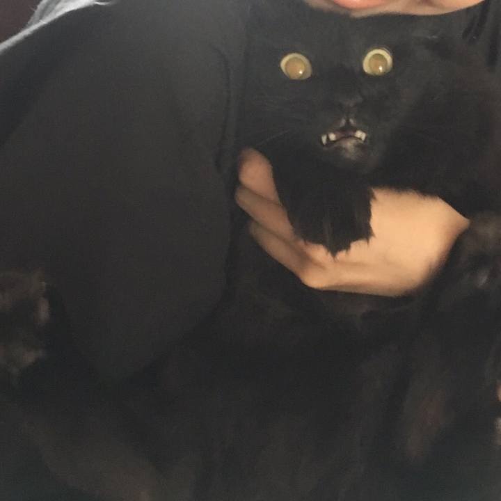 B9e15a9c 62ba 4634 9e0a 67ca3bd51045