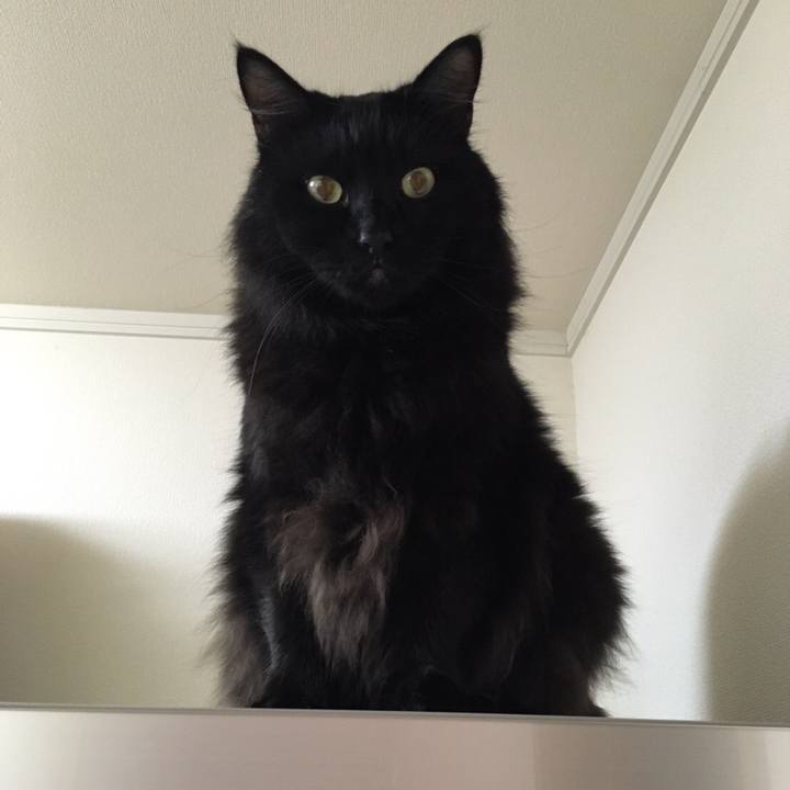 B9e190d5 b1d2 402f 89e7 4e16a9df7f43