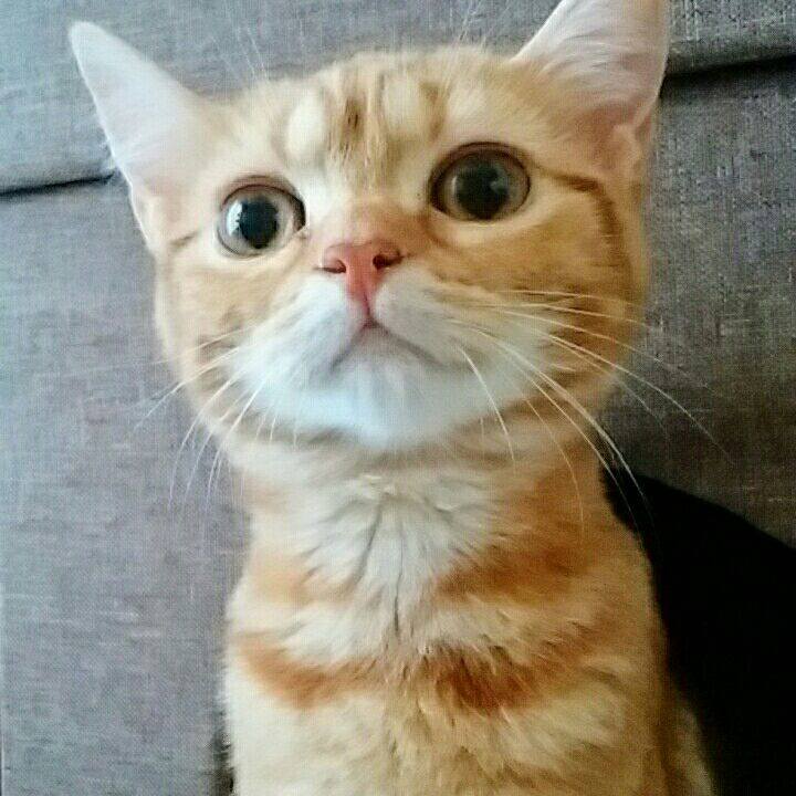 B9e1933d d2d4 4710 890e 188af46ae04e