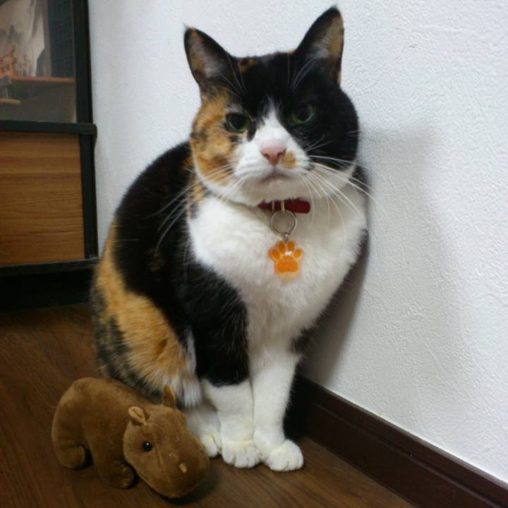 B9e2029a e07c 4c72 9c8c a8659ea68d05