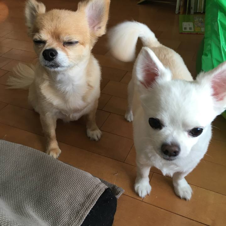 B9e28bce 5f62 4b24 8923 6b5a8ef5a372