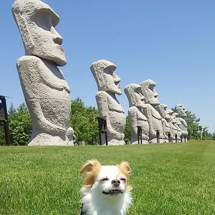 B9e2c239 adcf 43f1 8a0d 470ff97ed46e