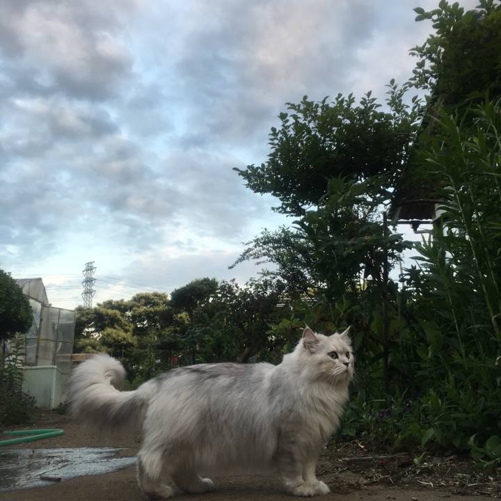 B9e2f781 fdd0 48d9 a5f2 4183dc2602b0