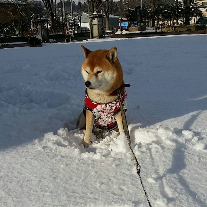 B9e3631a 1d4b 4458 827d fdee538a6788