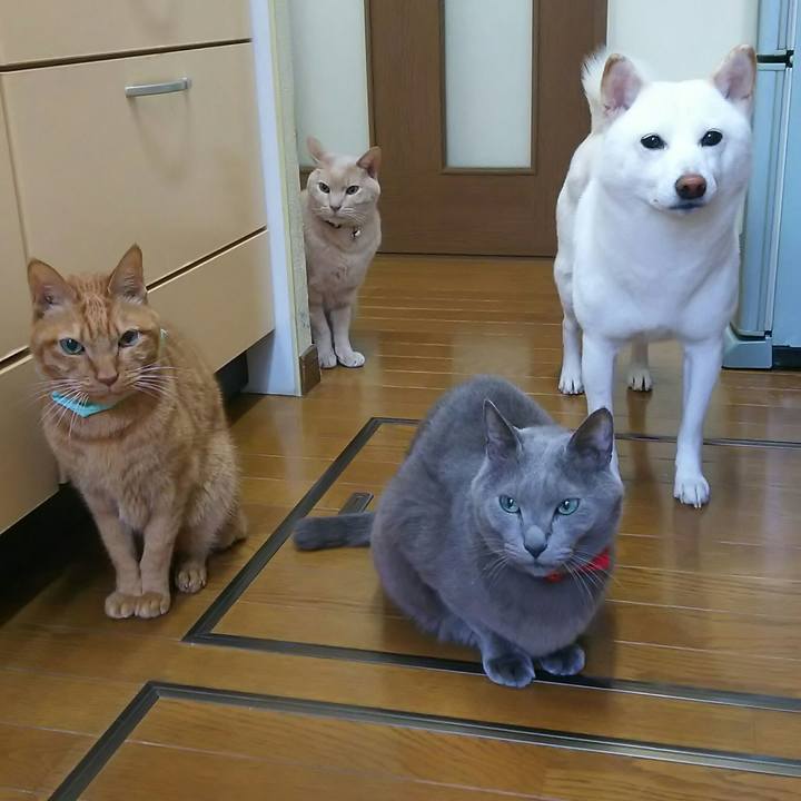 B9e365ce c7b0 428d 8ece bb0794b8c457