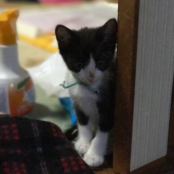 B9e389a2 a19a 43f6 9dc3 14869558d84f