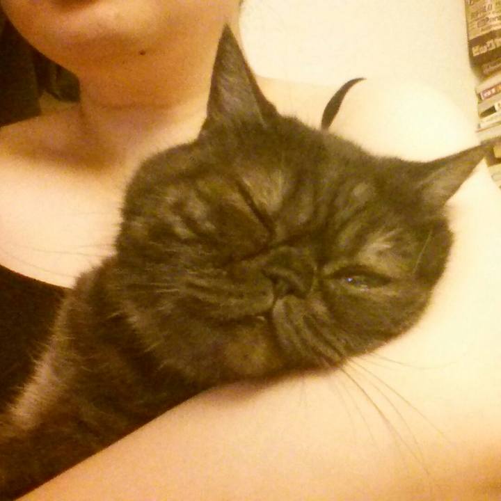 B9e3e67a 9613 4bd3 9664 00ac4a678d47