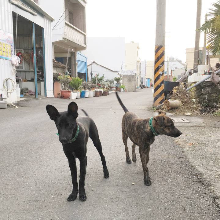 B9e436a6 c0ba 4711 a276 4a477bd64841