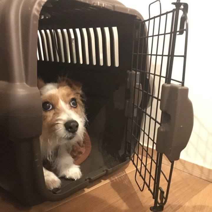 B9e4f44b ef0f 40fd 8f97 8e1ca83d96e7